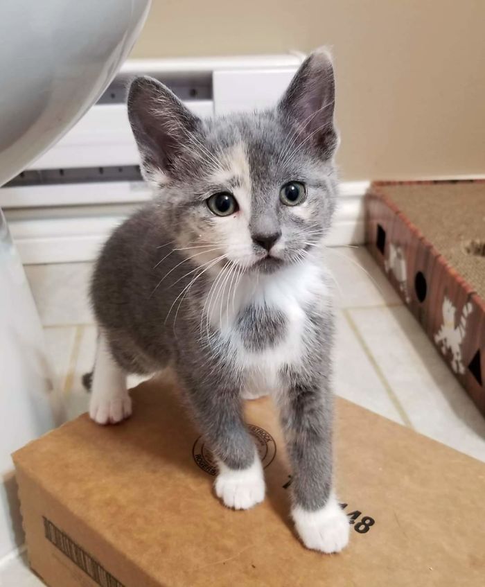 Our Family Applied To Adopt This Little One Today. Hoping All Goes Well