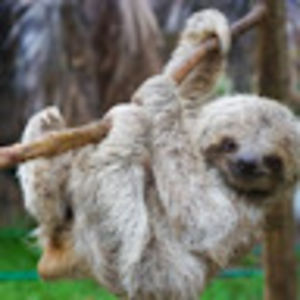 karlapalaciosperez avatar