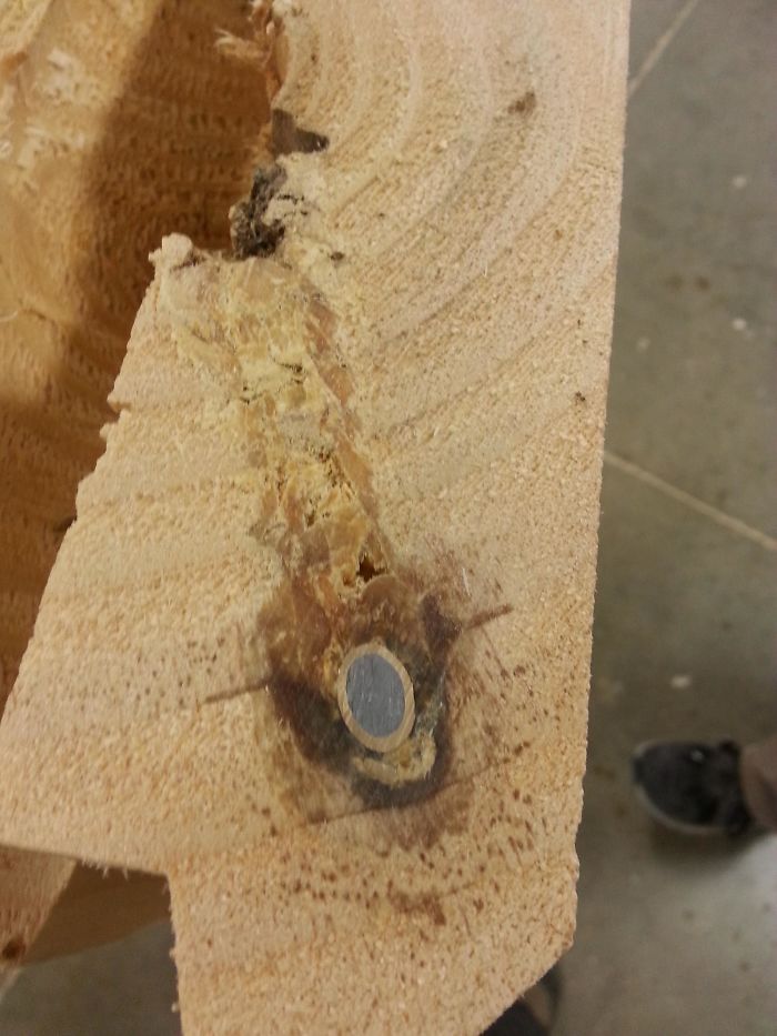 Cut This Log And Found Bullet Inside