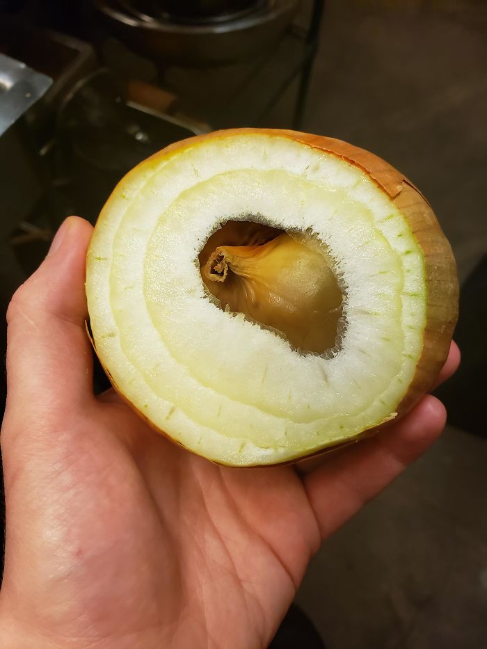An Onion, Inside Of An Onion