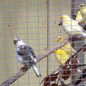 michelle_williams_1 avatar