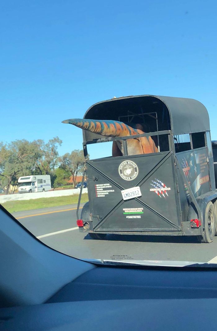 This Horse Trailer Had A Dinosaur In It