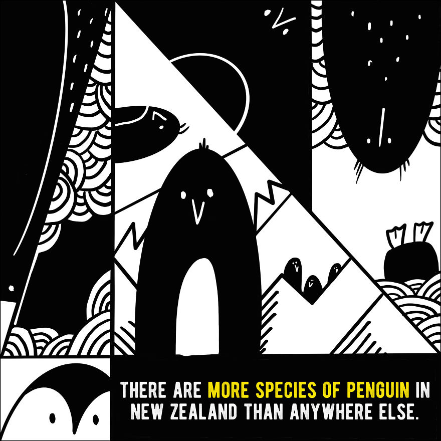 We Illustrated 20 Interesting Facts About New Zealand That You Probably Didn't Know