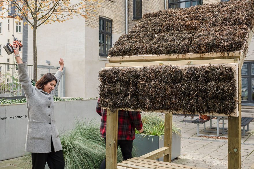 Architect Kathryn Larsen Tries Alternative Sustainable Building Material And Her Ideas Caught People's Imagination