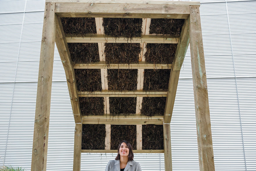 Architect Kathryn Larsen Tries Alternative Sustainable Building Material And Her Ideas Caught People's Imagination