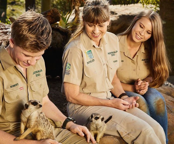 steve irwin saving koala bear from australian bushfire 2020