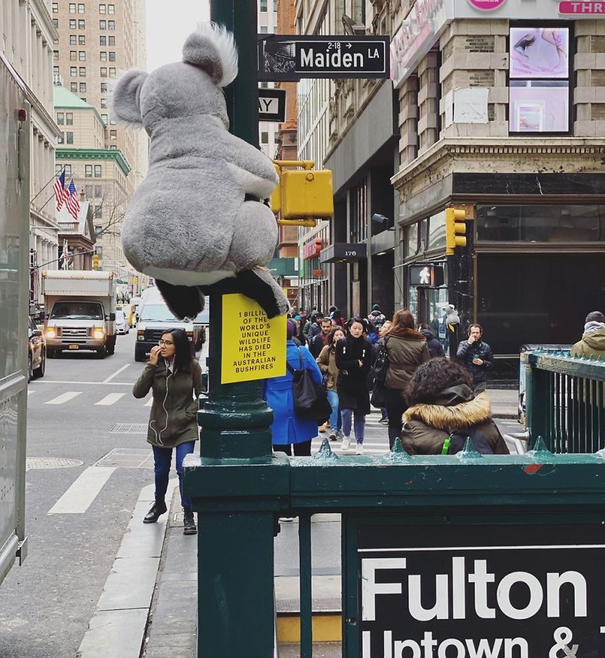 New York City Is Filled With Cute Stuffed Koalas Encouraging People To Donate To Australia (23 Pics)