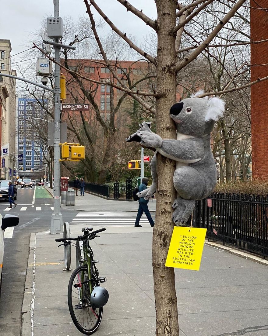 New York City Is Filled With Cute Stuffed Koalas Encouraging People To Donate To Australia (23 Pics)