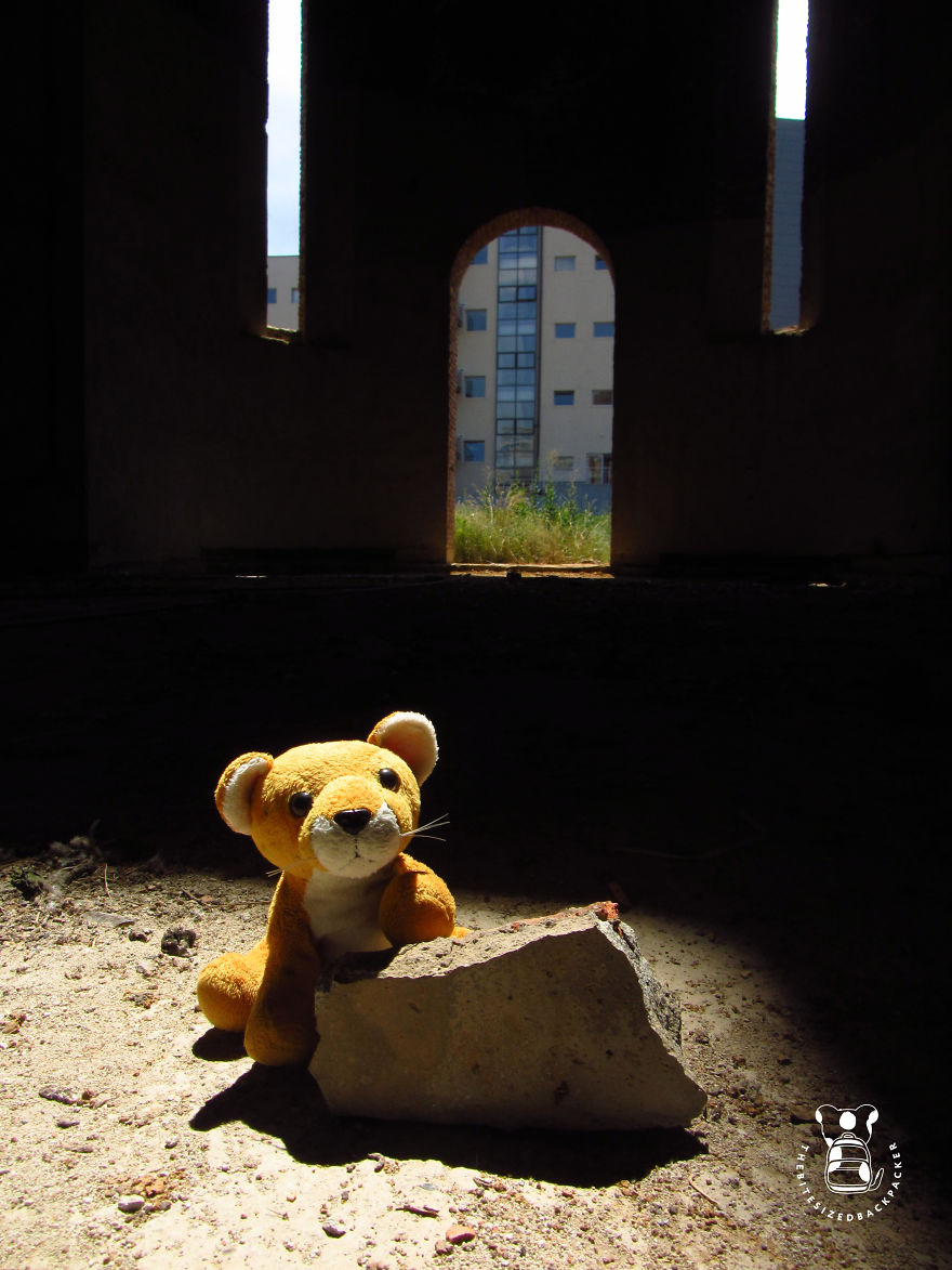 Contemplating The Effects Of War In Pristina's Abandoned Church, Kosovo