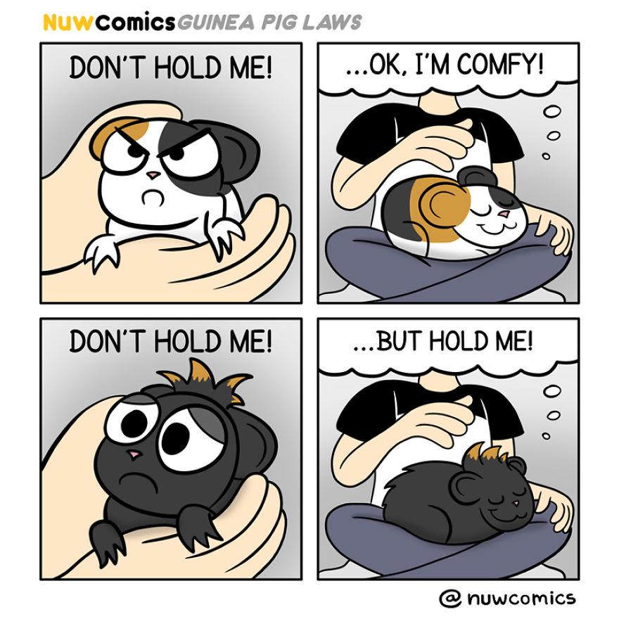 After 8 Amazing Years Of Owning My Guinea Pigs, I Created Tribute Comics For Them