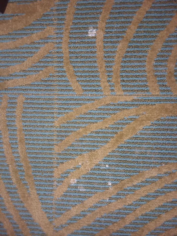 A little splatter on the carpet right next to a bed in Henderson