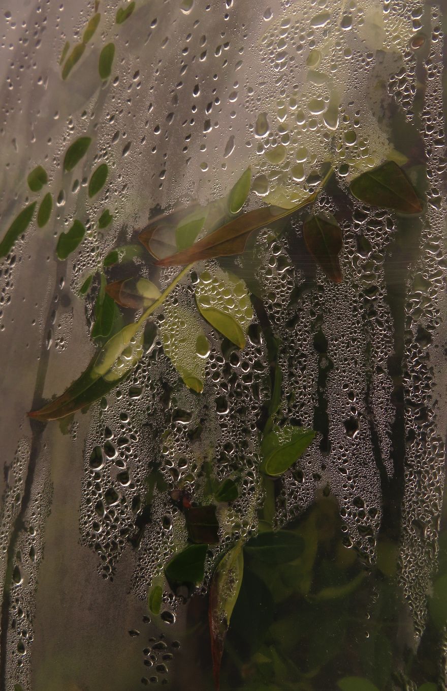 Mist Drops Mist Drops