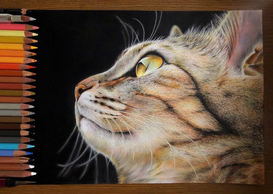 Japanese Illustrator Makes Hyper Realistic Cat Illustrations That Will Probably Take Your Breath Away