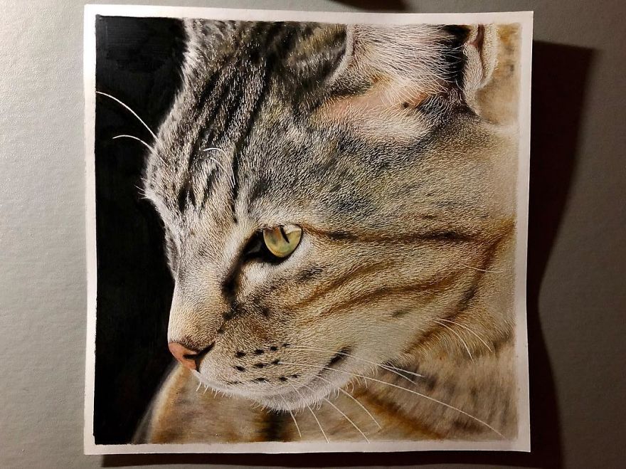 Japanese Illustrator Makes Hyper Realistic Cat Illustrations That Will Probably Take Your Breath Away