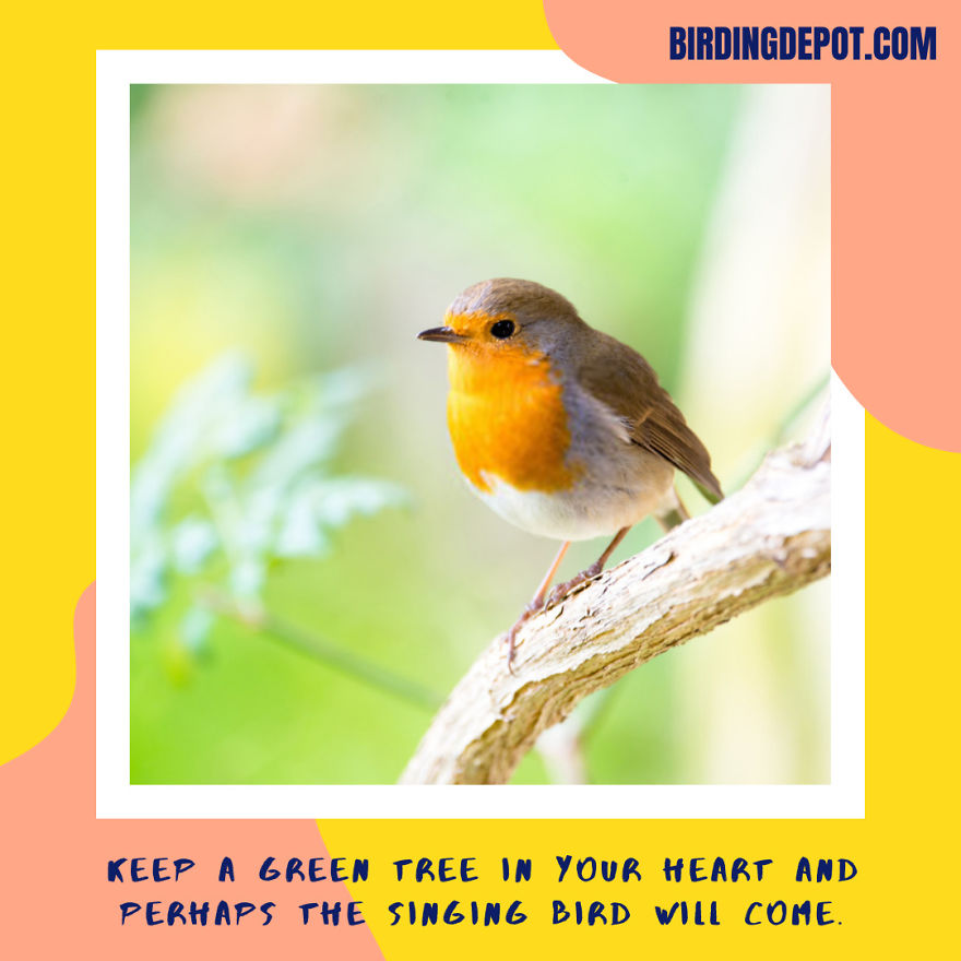 Keep A Green Tree In Your Heart And Perhaps The Singing Bird Will Come.