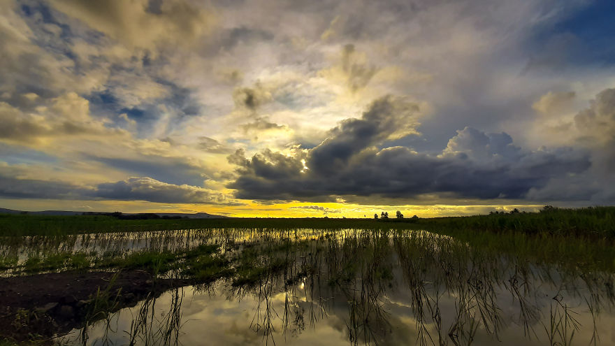 Flood Dusk Beauty
