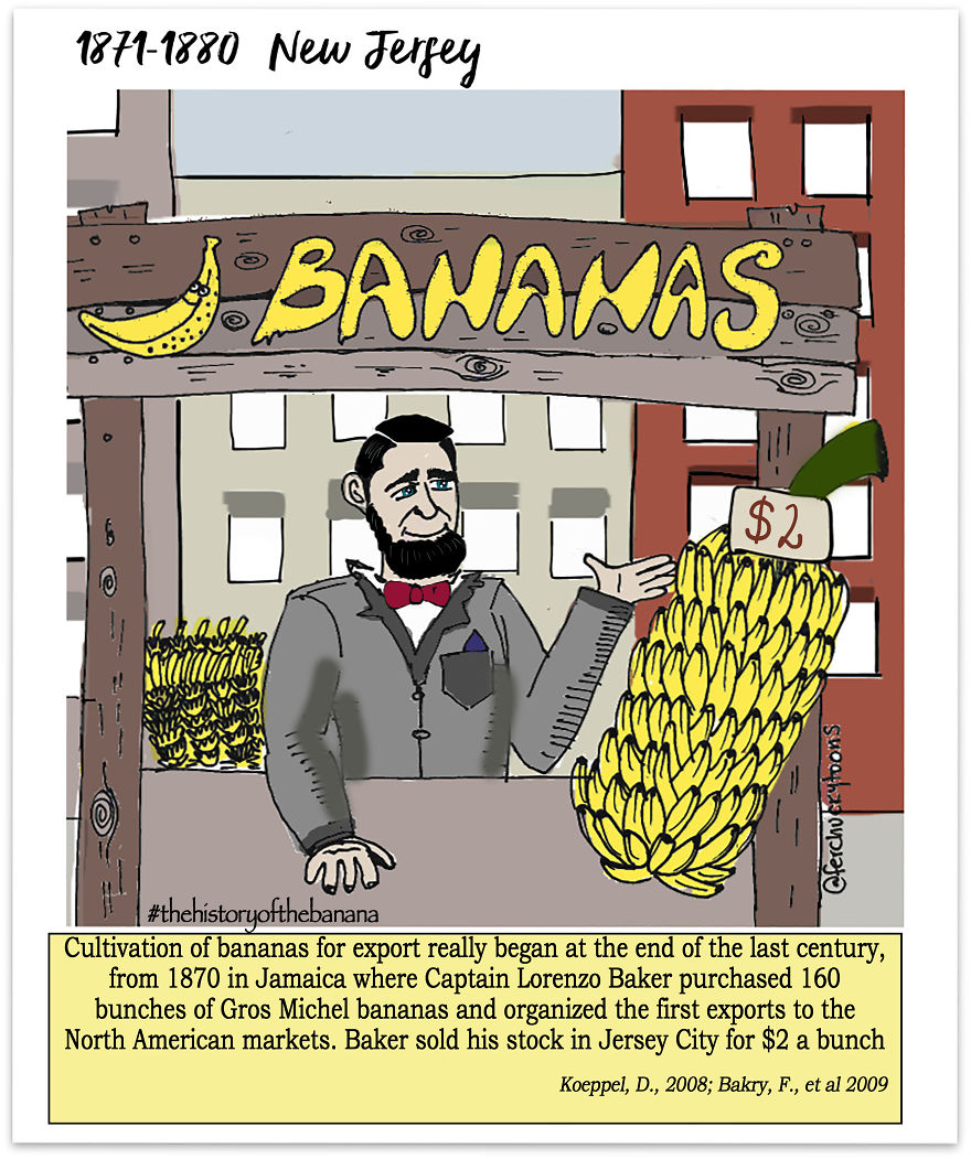 The Fascinating History Of The Banana