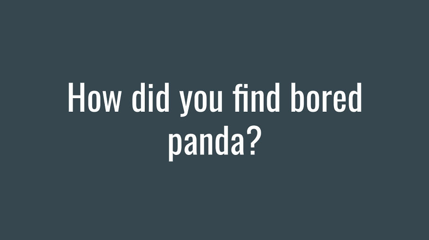 I Want The Bored Panda Community To Get Together And Do A Fun Little Quiz That I've Made