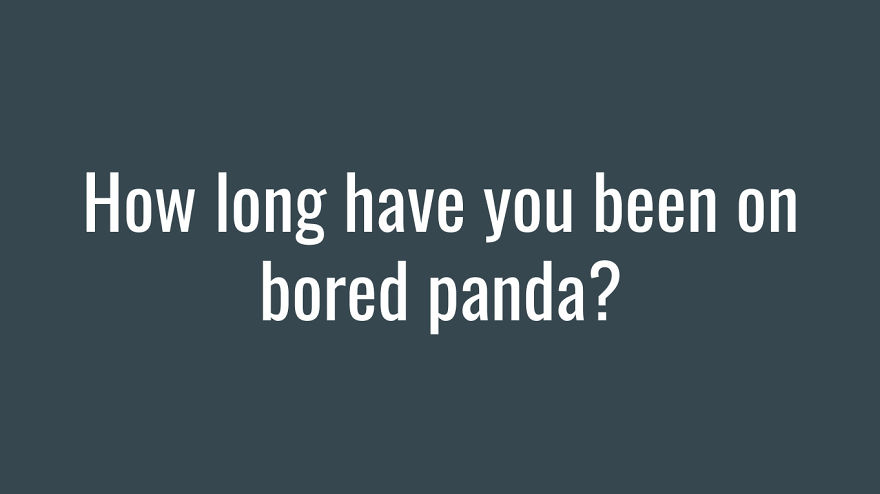 I Want The Bored Panda Community To Get Together And Do A Fun Little Quiz That I've Made