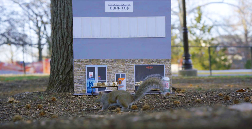 The First-Ever Food Joint For Squirrels Is Booming In Lexington, Kentucky