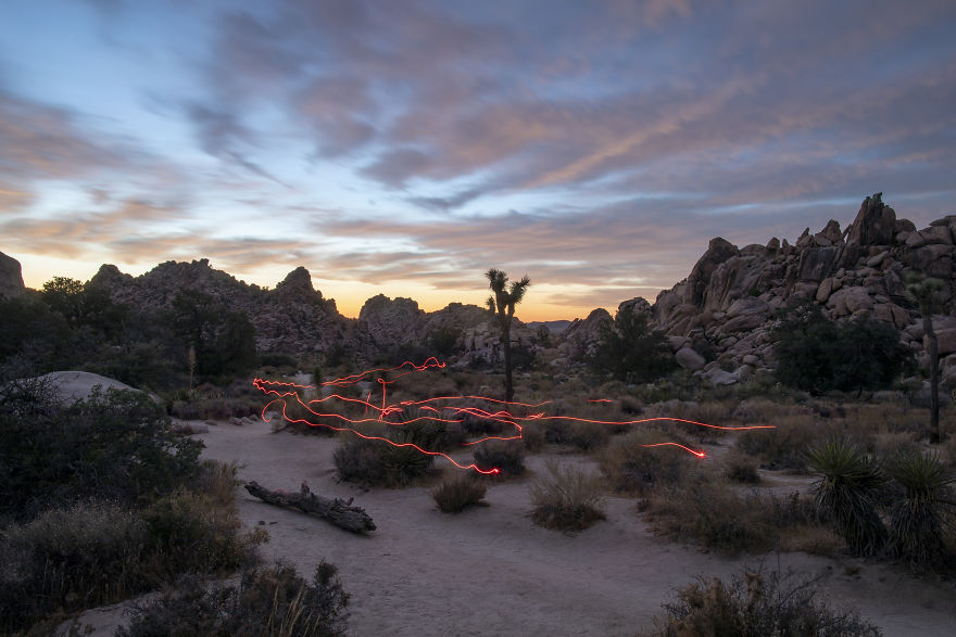 Light Trails In The Desert