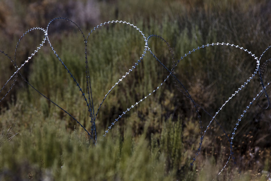 Barbed Wire At One Of The Back Entrances To Area 51