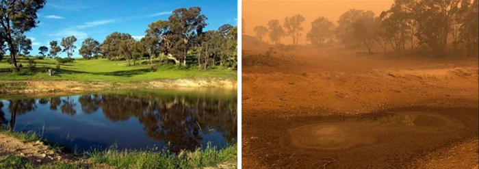 Wildlife Sanctuary In Canberra, Au Before And After Fire