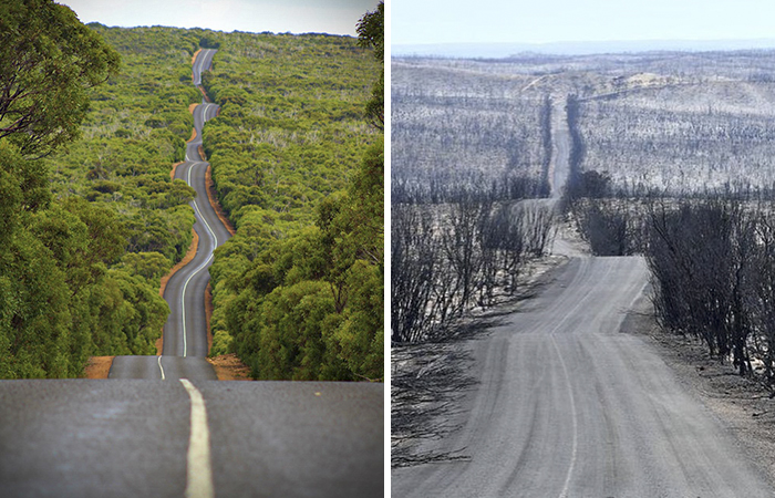 19 Then And Now Photos Of Australia Show How Much Damage The Fires Have Already Done
