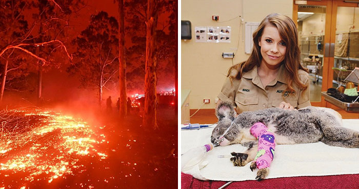 Since Half A Billion Animals Were Potentially Lost In Australian Bushfires, The Irwin Family Stepped In And Already Helped Over 90,000 Animals