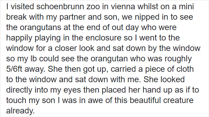 Breastfeeding Mom's Emotional Encounter With Orangutan At The Oldest Zoo In The World Goes Viral