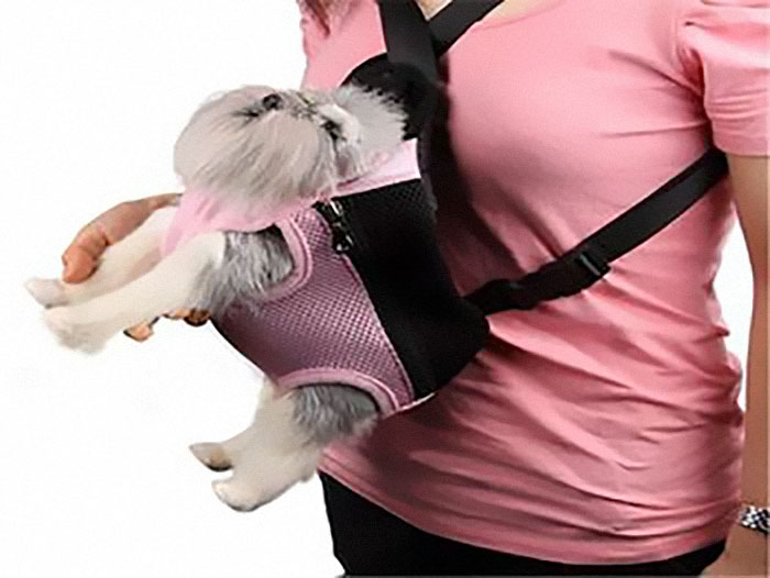 This Dog Harness Doesn't Look Very Comfy For Your Pet