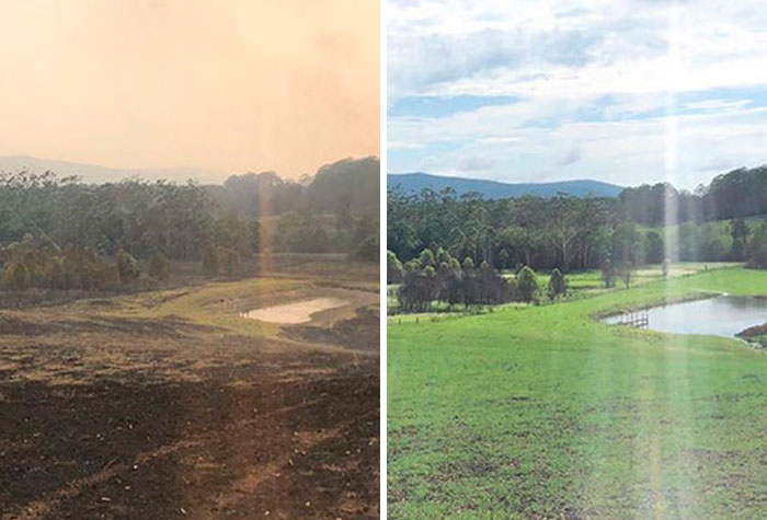Russell Crowe Shares Before And After Pics Of His Fire Devastated Land After A Weekend Of Rain