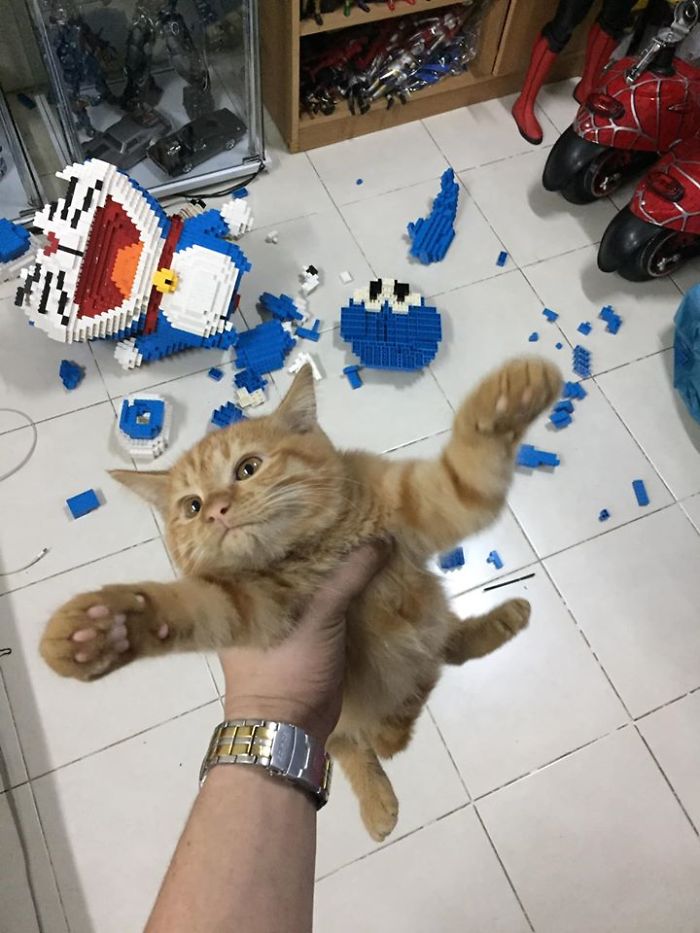 Cat Destroys A 2,432-Piece Doraemon Figure That Took Its Owner 7 Days To Make, Doesn't Seem To Regret It