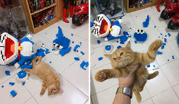 Cat Destroys A 2,432-Piece Doraemon Figure That Took Its Owner 7 Days To Make, Doesn’t Seem To Regret It