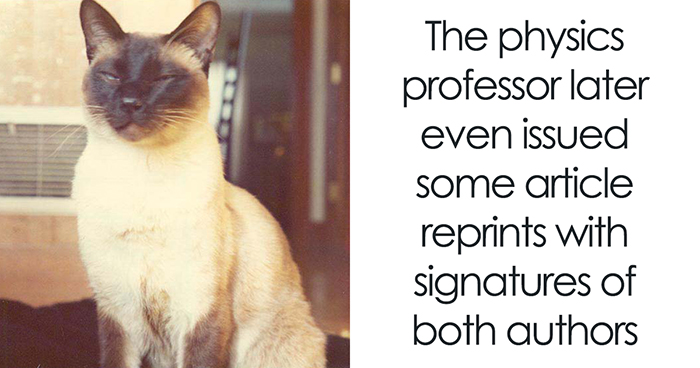 In 1975, This Cat Became A Co-Author Of An Academic Physics Paper On Atomic Behavior At Different Temperatures