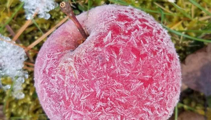 I Have Found Some Interesting Things People Upload On The Internet (20 Pics)