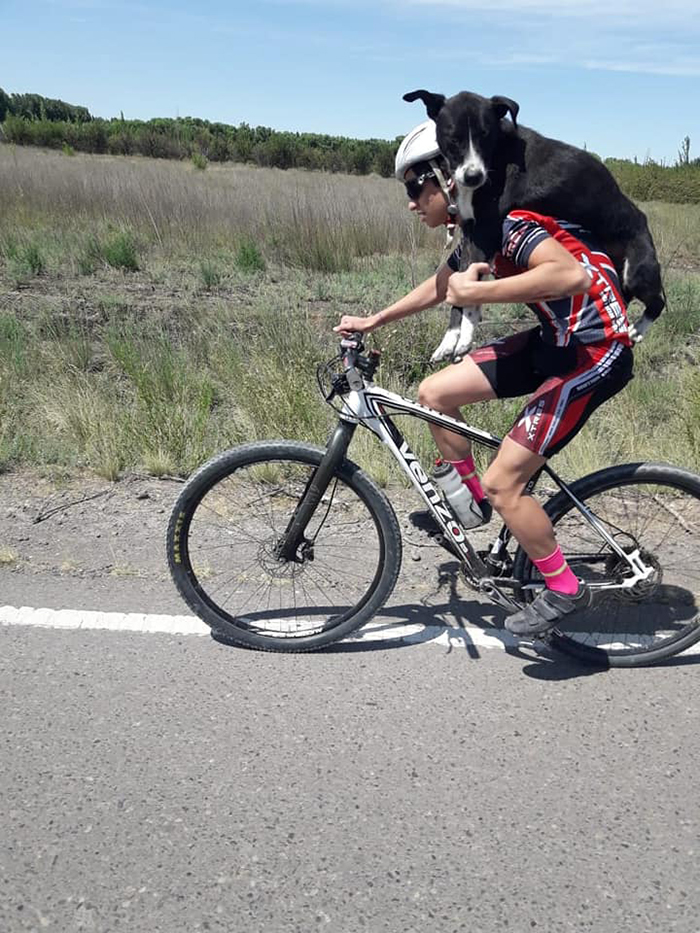 Cyclist Stops Mid-Practice To Help A Dehydrated Dog, Ends Up Carrying It On His Back