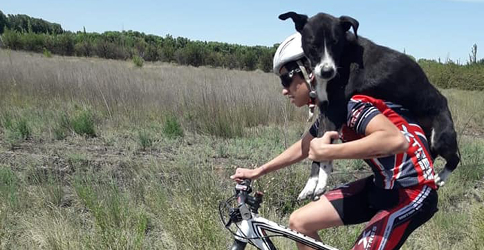 Cyclist Stops Mid-Practice To Help A Dehydrated Dog, Ends Up Carrying It On His Back