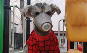 Scared Of Coronavirus, Chinese People Have Started Putting Masks On Their Pets