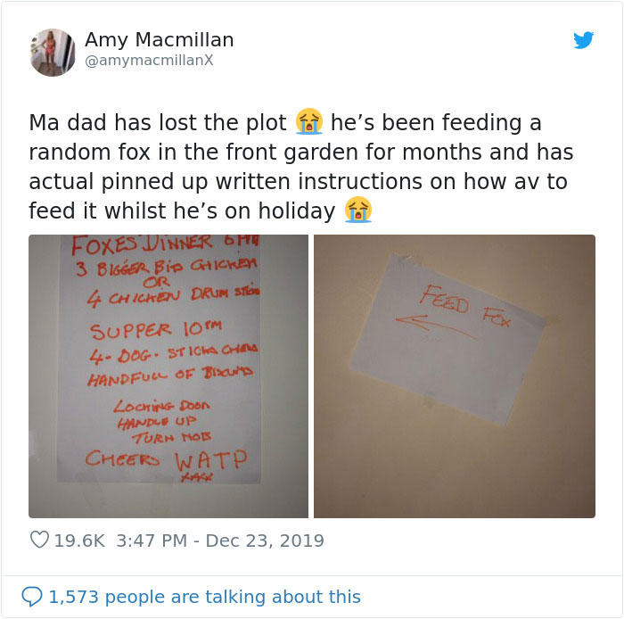 Dad Leaves A Detailed Feeding Schedule To Keep This 'Random' Fox Happy While He's Away, His Daughter Thinks He Lost It