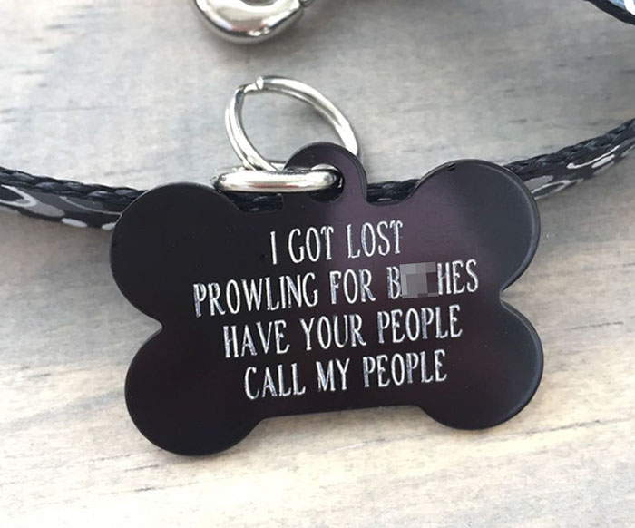 Dog Owners Are Loving These Snarky Name Tags