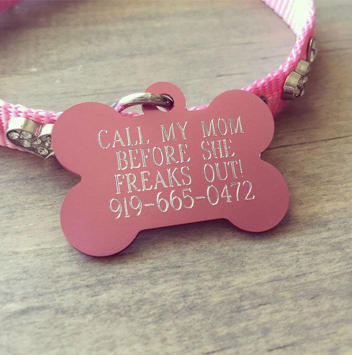 Dog Owners Are Loving These Snarky Name Tags