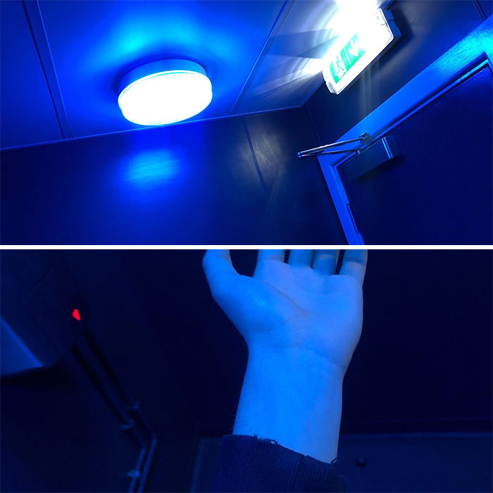 All Of The Toilet Lights In My Town Have Been Changed To Fluorescent Blue, In An Attempt To Prevent Heroin Users From Being Able To Find A Vein To Use