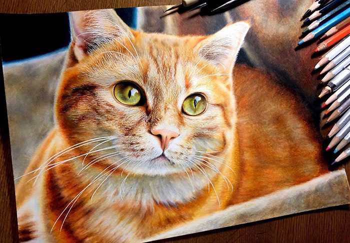 23 Hyper-Realistic Artworks Of Cats That Are Hard To Believe Aren’t Photographs By A Japanese Artist