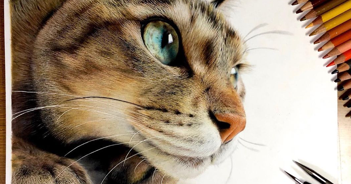 Featured image of post Fluffy Cat Drawing Realistic The simple guide to drawing realistic cat eyes