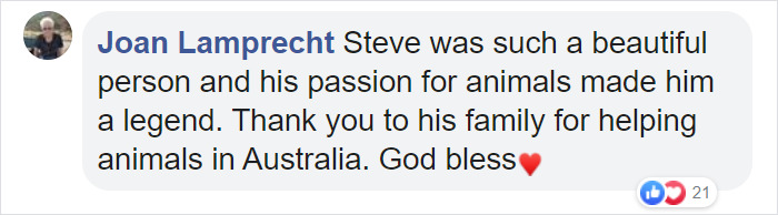 People Are Tearing Up Over This Cartoon Of Steve Irwin Welcoming Animals Killed In The Australian Bushfires