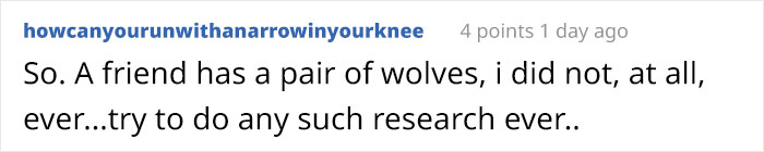 Someone Who Got To Know Wolves Lists The Things We Might Not Know About Them