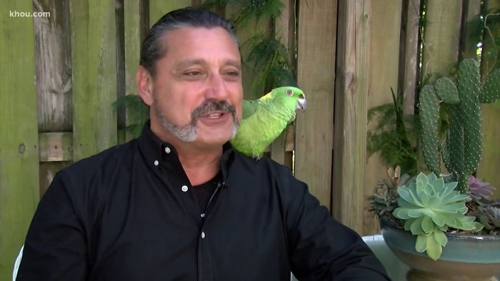 Man Has 4 Cops Show Up To His House Because His Parrot Screaming 'Let Me Out' Sounds Like A Woman