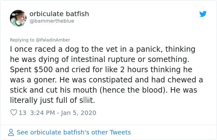 La gente comparte divertidas historias sobre momentos en que pensaban que sus mascotas se estaban muriendo