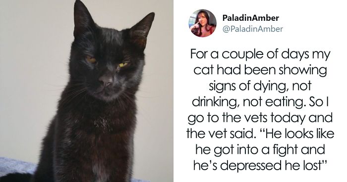 People Are Sharing Hilarious Stories About The Times They Thought Their Pets Were Dying